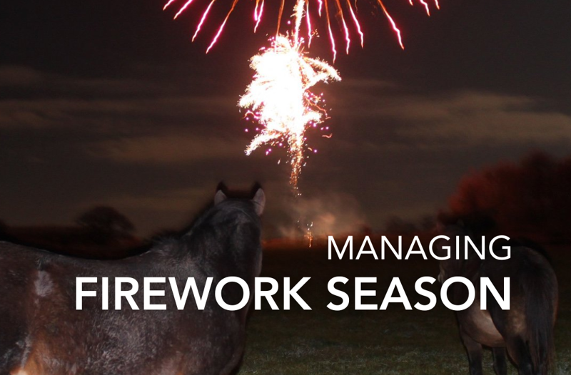Managing Firework Season - Equine Science Matters™